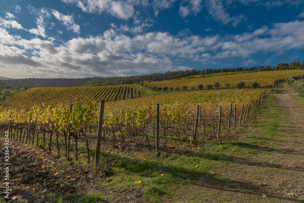 Obraz premium panorama of the Chianti hills in Tuscany