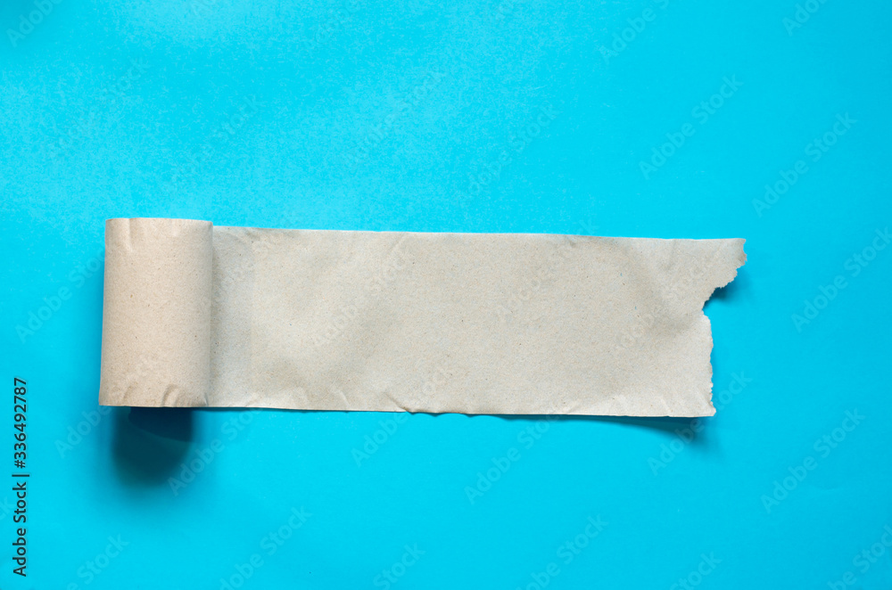 Expanded roll of toilet paper. Toilet paper on a blue background. Expanded roll of toilet paper. Toilet paper on a blue background.