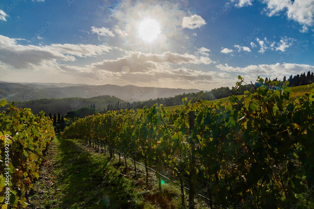 Naklejka premium panorama of the Chianti hills in Tuscany
