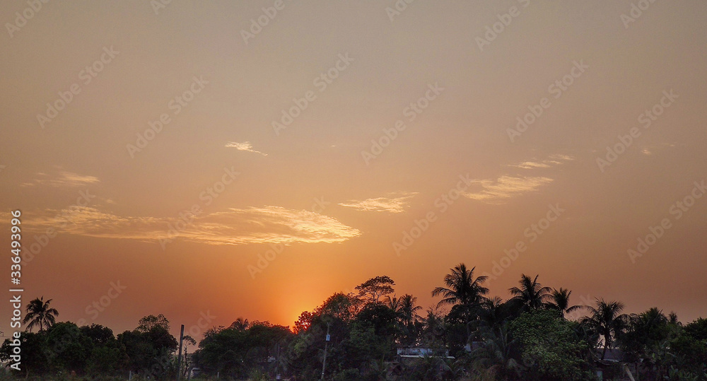 Fototapeta premium sunset in The desert, sunset desert close up short with the ground, Sand dunes sun on top of the forest, Evening sunset Sand dunes
