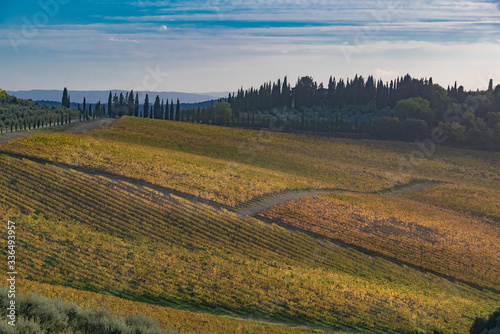 panorama of the Chianti hills in Tuscany