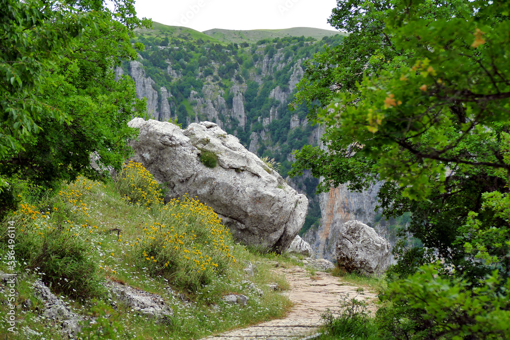 Path leading to Oxia Viewpoint in the national park of Vikos-Aoos in Epirus