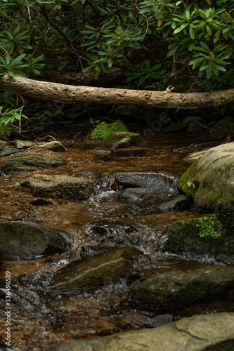 Smoky Mountains landscape along the trails. Smoky Mountains National Park, Tennessee, USA