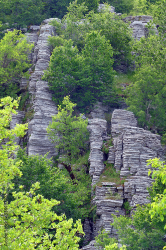 Detail of the stone forest near Monodendri in Epirus photo