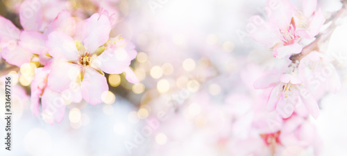 Fresh flowers. Spring background. © Guschenkova