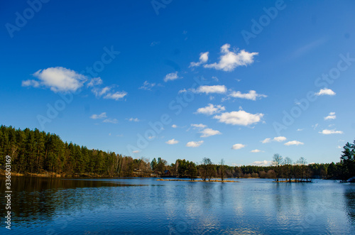 landscape of a summer lake