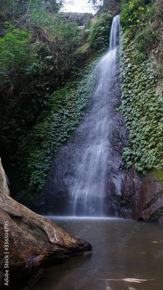 Obraz premium waterfall in the forest