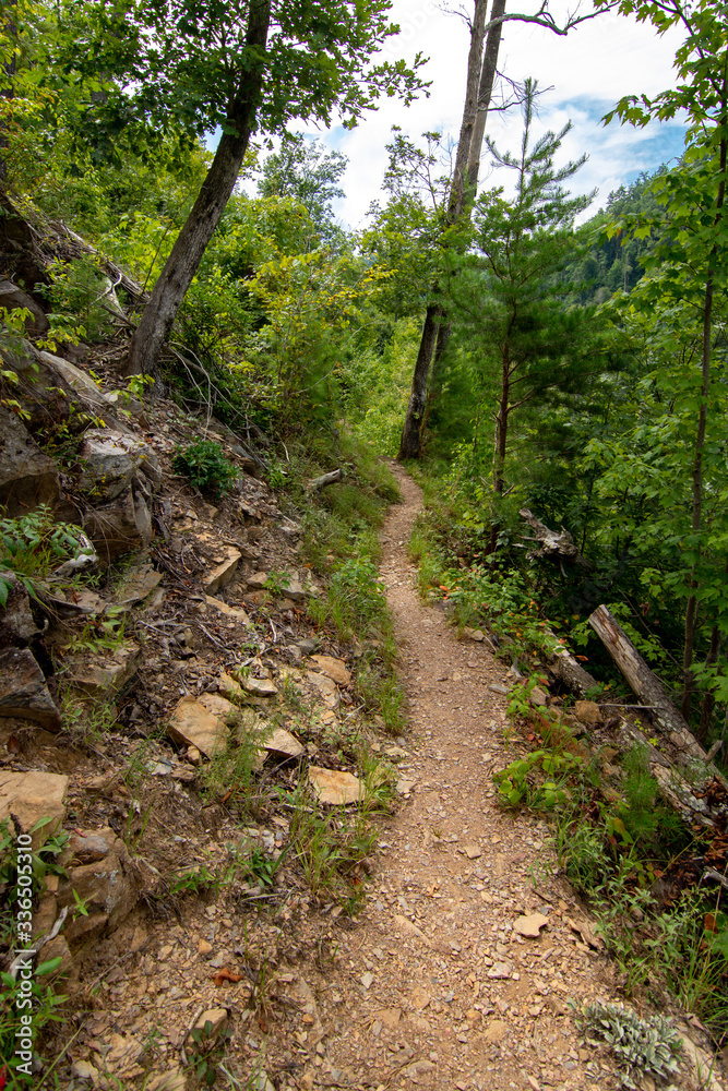 Smoky Mountains landscape along the trails. Smoky Mountains National Park, Tennessee, USA Smoky Mountains landscape along the trails. Smoky Mountains National Park, Tennessee, USA