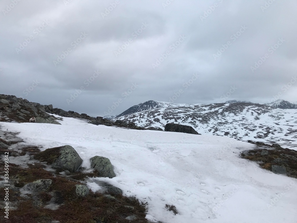 Traveling in the arctic, Norway Tromsø, Snow cold and solitude