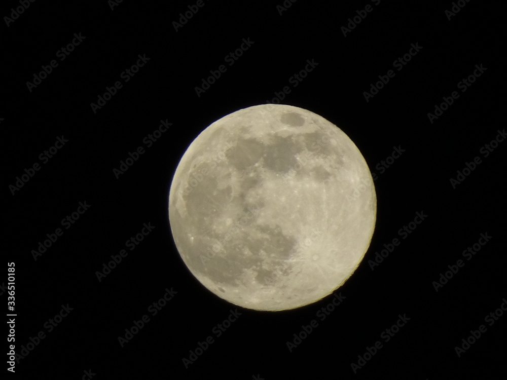 Fototapeta premium Moon