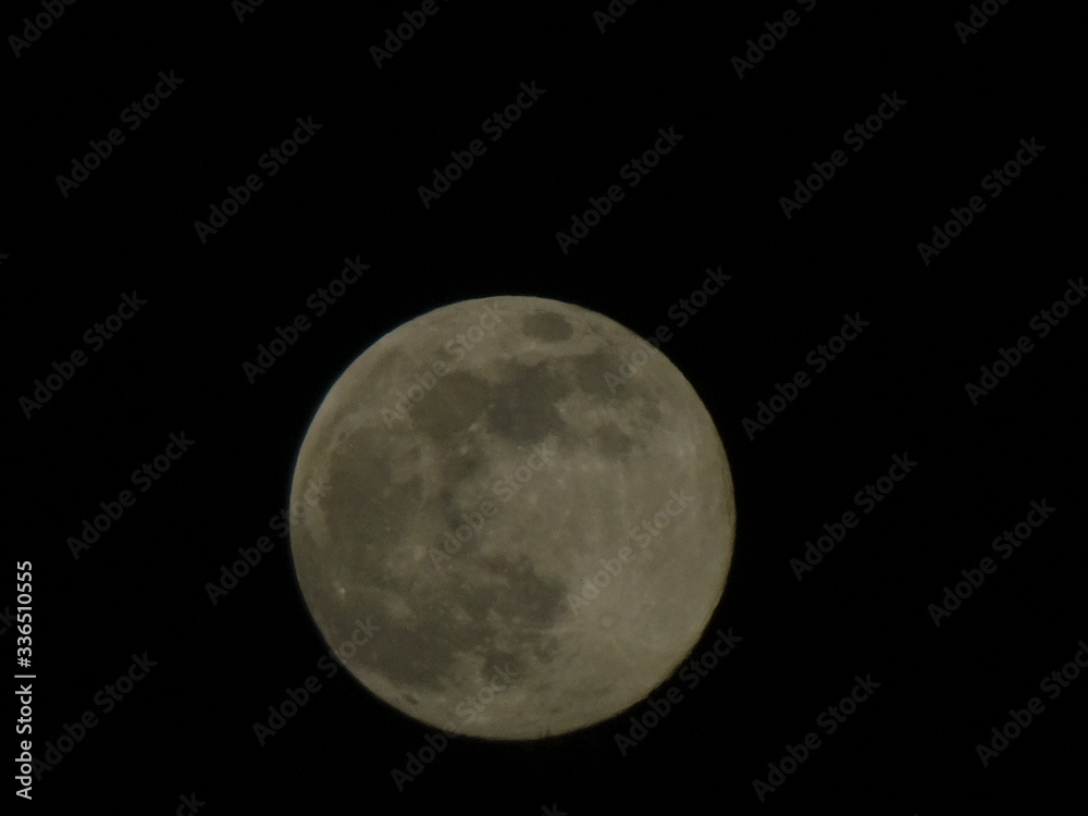 Fototapeta premium Moon