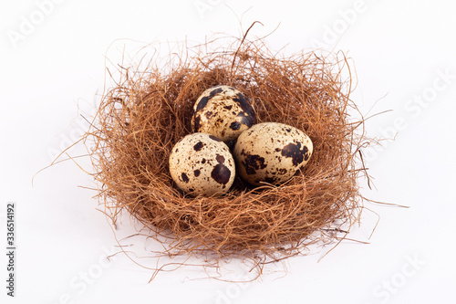 Stylish frame background with quail Easter eggs with copy space for text. isolated on a white background. Easter concept.
