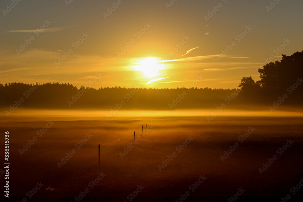 Fototapeta premium Morning in Poland, poranek w Polsce