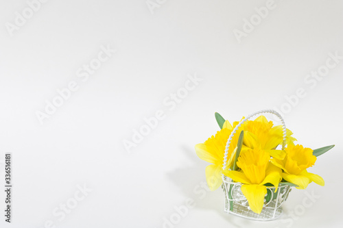 Miniature basket decorated with yellow flowers daffodils on a white background