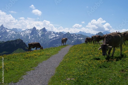 Switzerland Summer