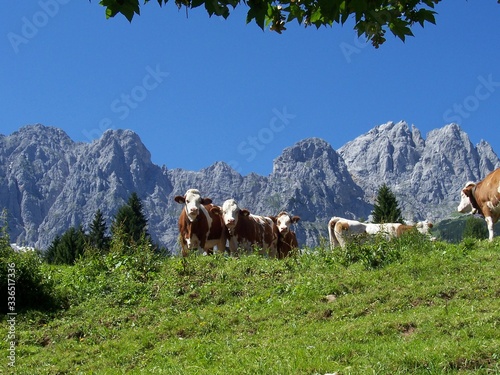 Switzerland Summer