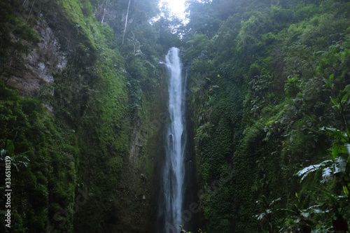 waterfall in the forest