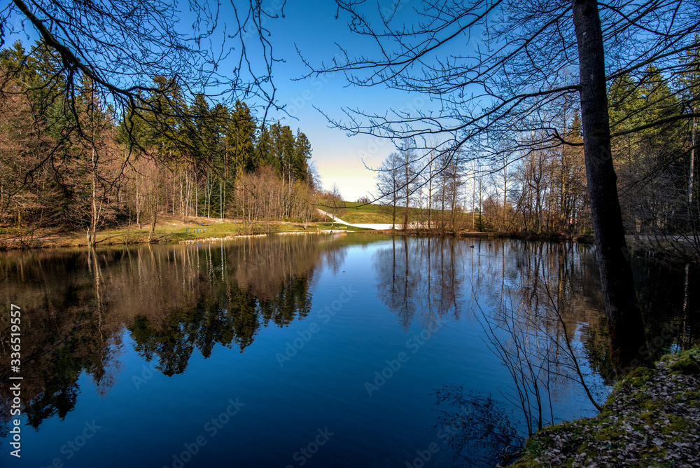 See im Zauberwald im Schwarzwald