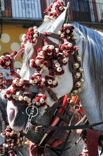 caballo con borlajes y moñas de feria y atalajes Sevilla España 04/05/2019