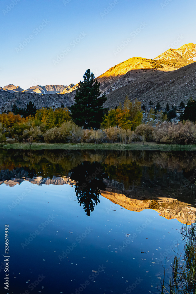 Naklejka premium reflecctive mountain lake with pines aspens grass and mountain
