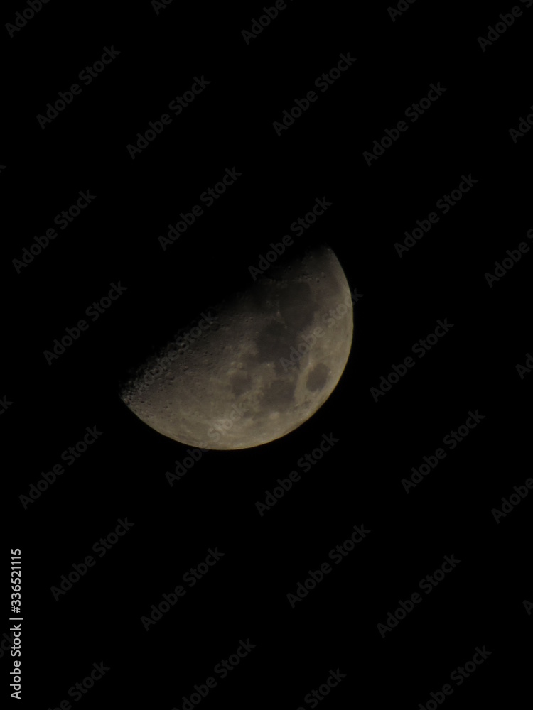 moon in the night moon in the night