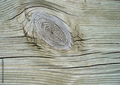 Wood knot in white bleached plank