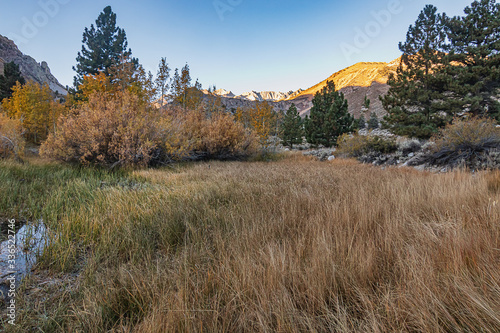 grassy bank of shoreline with colorful aspen and pine