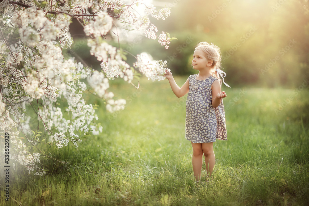 baby girl walks in spring in a blooming garden, happy childhood, cherry blossoms, month of may