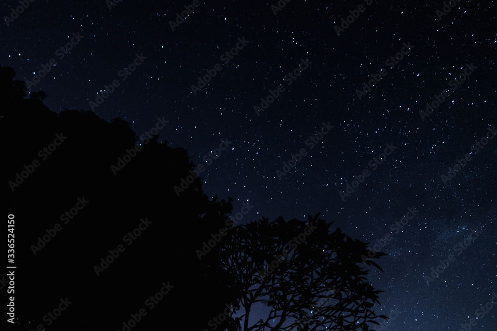 Fototapeta premium starry night sky