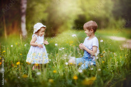 children play in the meadow, chewing dandelions, spring, may, wild flowers