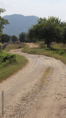 Camino de trocha