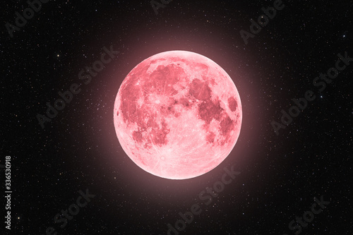 Fototapeta Pink full super moon glowing with pink halo surrounded by stars on black sky bac