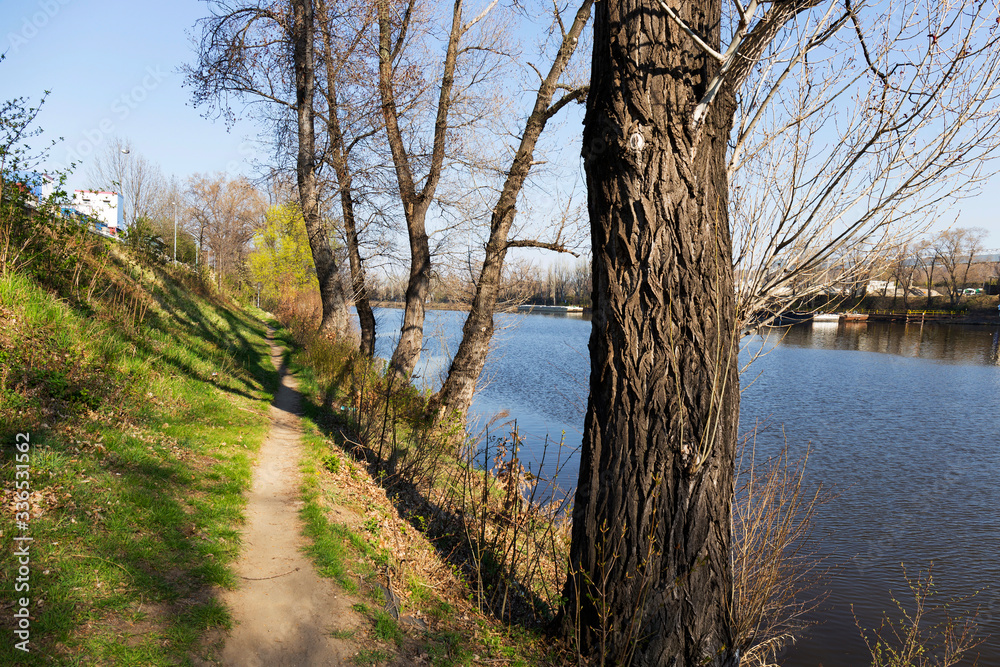 Spring old Trees above the River Vltava in the sunny Day, Prague, Czech Republic Spring old Trees above the River Vltava in the sunny Day, Prague, Czech Republic