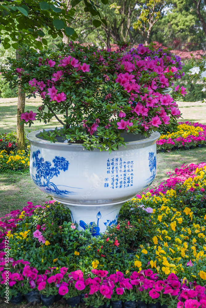 Suzhou China - May 3, 2010: Humble Administrators Garden. Closeup of pink and yellow flower composition with large blueish circular vessel or vase. Green foliage around.