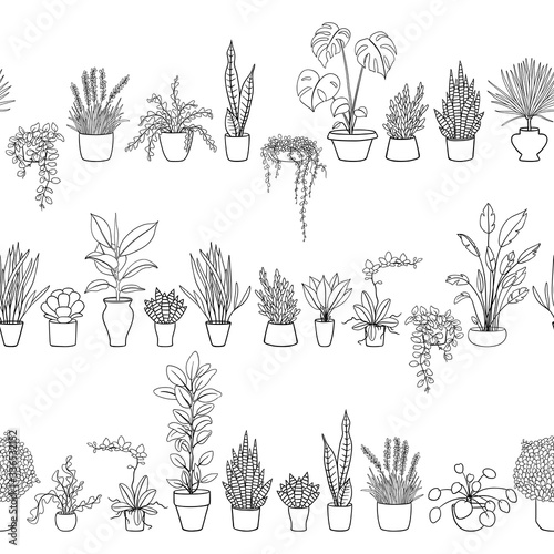 Black and white seamless pattern with house plants