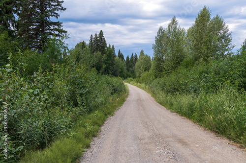 A gravel road through the forest in rural British Columbia, Canada © davidrh