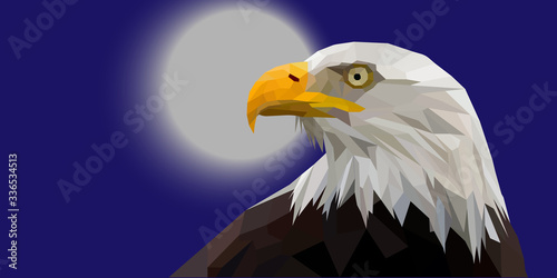 Bald Eagle. Triangulated Vector Image