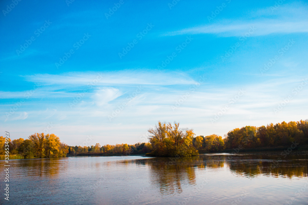 Yellow trees with beautiful leaves in the autumn near the river