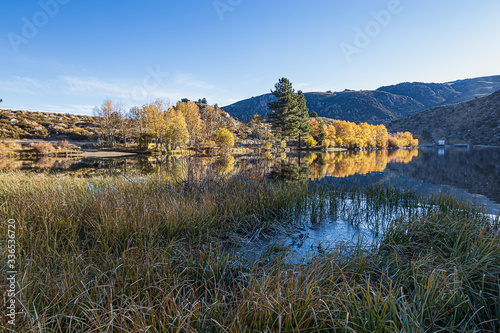 long grass on shoreline of crystal clear lake reflecting autumn trees photo