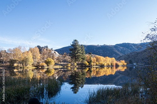Fototapeta Naklejka Na Ścianę i Meble -  shoreline of crystal blue lake mirrorning autumn leaves