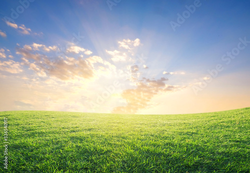 green grass field in the morning sunrise.