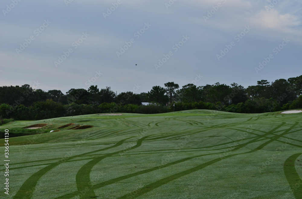 Obraz premium Morning Dew Covered Golf Fairway Showing Golf Cart Tracks that Scattered