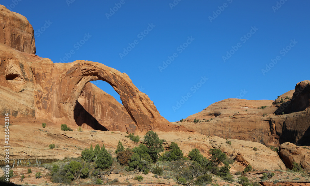 Landscape with Corona Arch - Utah