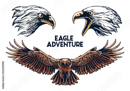 eagle resources illustration