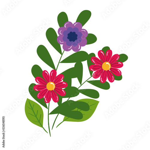 flowers with leaves design, natural floral nature plant ornament garden decoration and botany theme Vector illustration