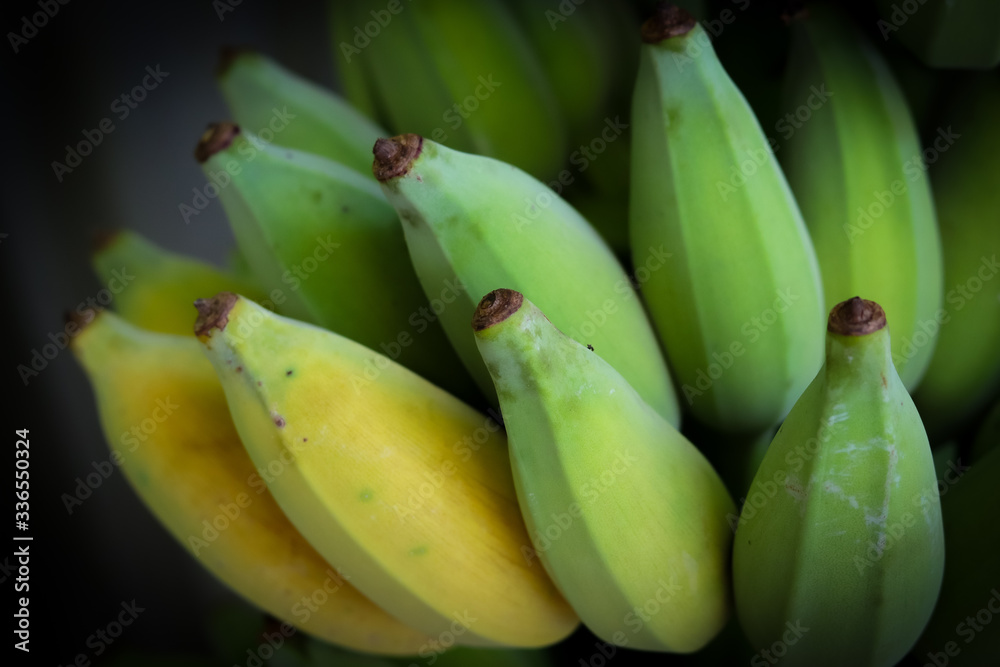 Banana bunch 1