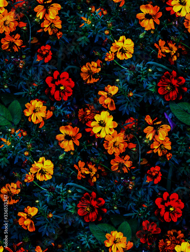 Colorful flowers in pop art style
