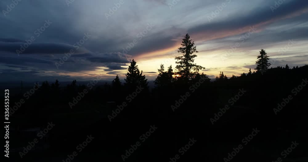 Drone flight between threes in mountain forest during peaceful sunset in the oyer valley.