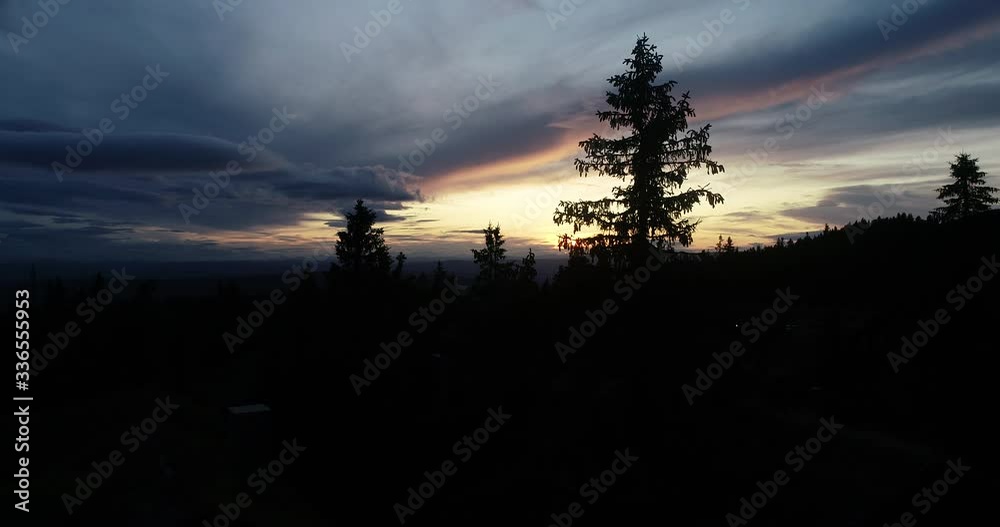 Drone flight between threes in mountain forest during peaceful sunset in the oyer valley.