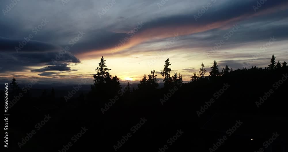 Drone flight between threes in mountain forest during peaceful sunset in the oyer valley.